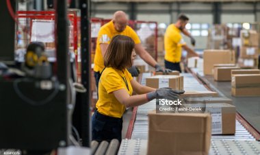 Válogató, csomagoló