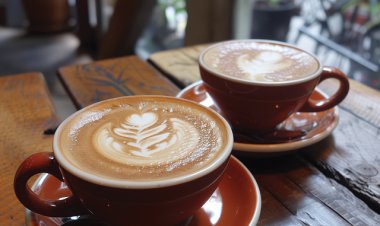 Külföldi munka  Barista (2 fő)